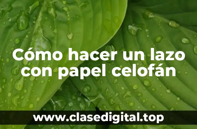 Cómo hacer un lazo con papel celofán