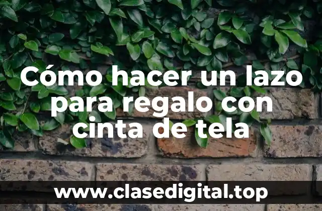 ¿Qué es un lazo para regalo con cinta de tela?