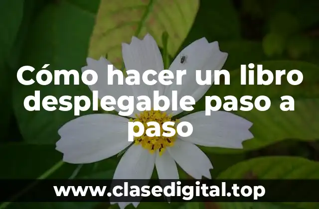 Cómo hacer un libro desplegable paso a paso