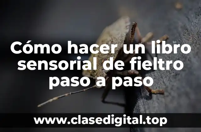Libro sensorial de fieltro: Qué es y para qué sirve