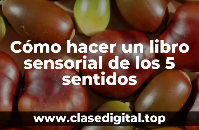 ¿Qué es un libro sensorial de los 5 sentidos?