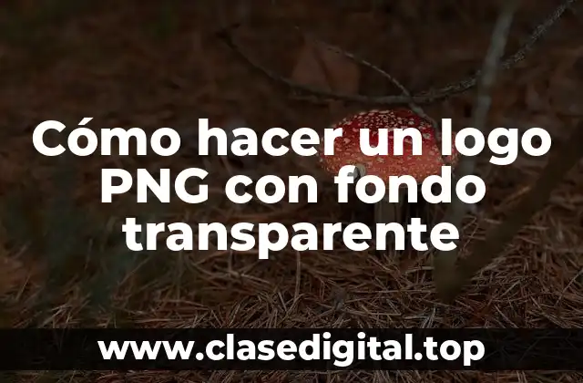 ¿Qué es un logo PNG con fondo transparente?