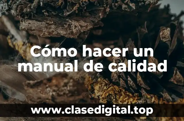 Cómo hacer un manual de calidad