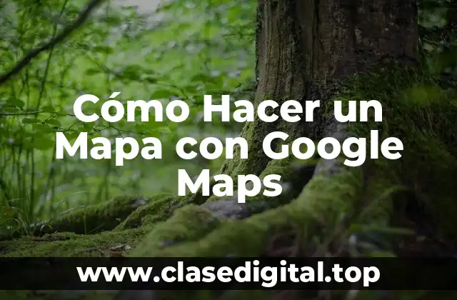 Cómo Hacer un Mapa con Google Maps