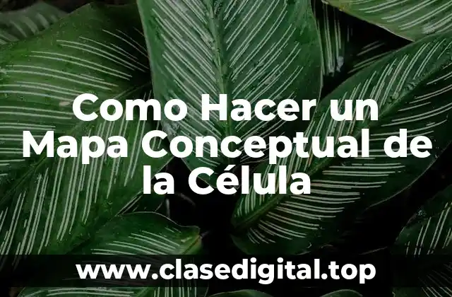 Como Hacer un Mapa Conceptual de la Célula
