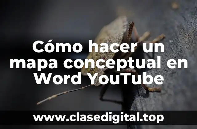 Cómo hacer un mapa conceptual en Word YouTube