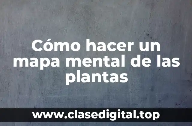 Cómo hacer un mapa mental de las plantas
