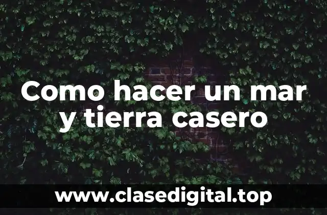 Como hacer un mar y tierra casero