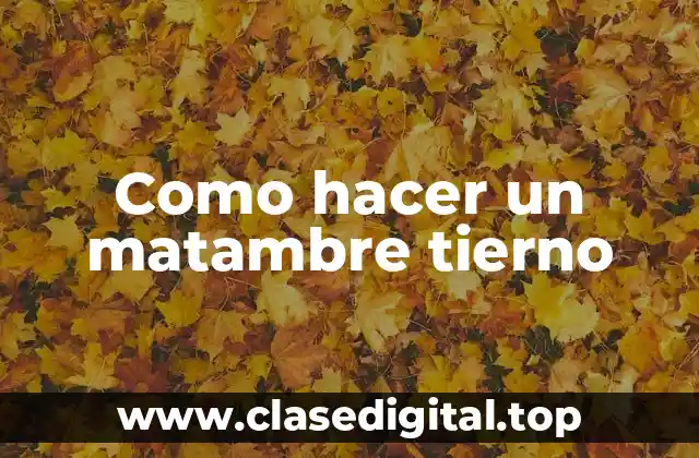 Como hacer un matambre tierno