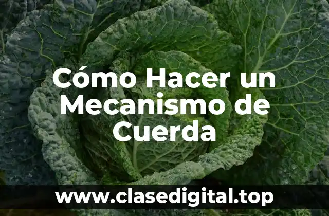 Cómo Hacer un Mecanismo de Cuerda