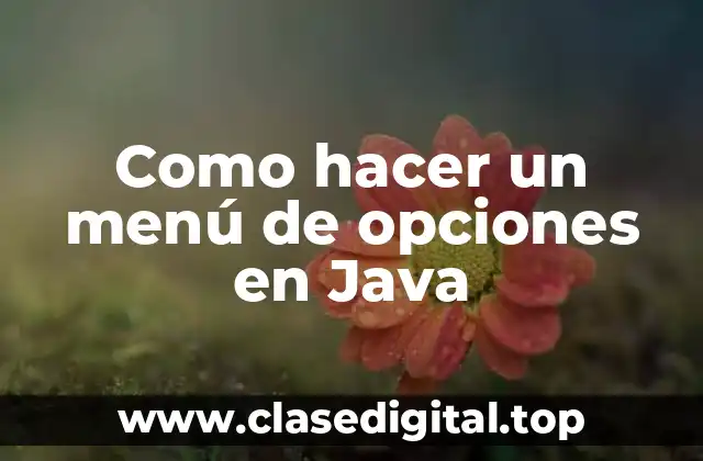 Como hacer un menú de opciones en Java