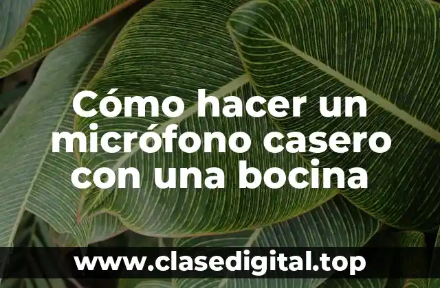 Cómo hacer un micrófono casero con una bocina