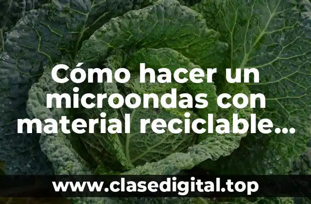 Cómo hacer un microondas con material reciclable que funcione