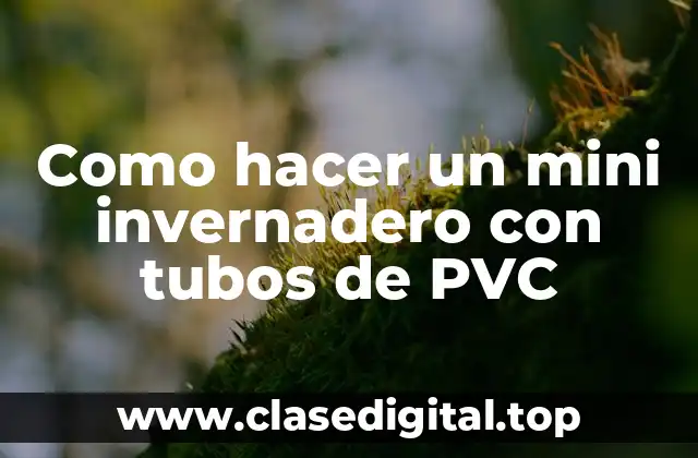 Como hacer un mini invernadero con tubos de PVC
