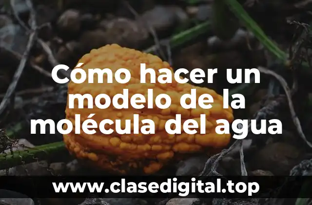 ¿Qué es la molécula del agua y para qué sirve?