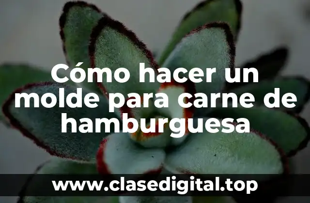 Cómo hacer un molde para carne de hamburguesa
