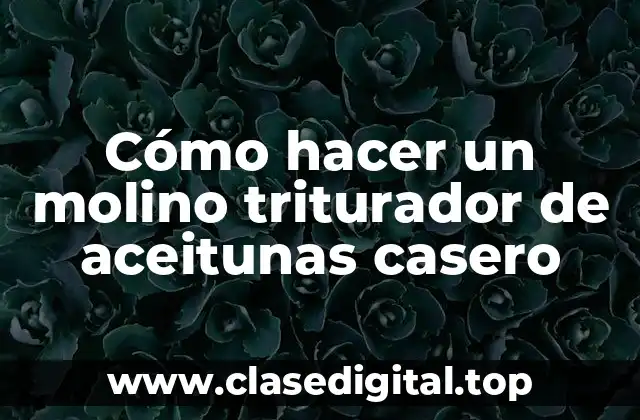 Cómo hacer un molino triturador de aceitunas casero