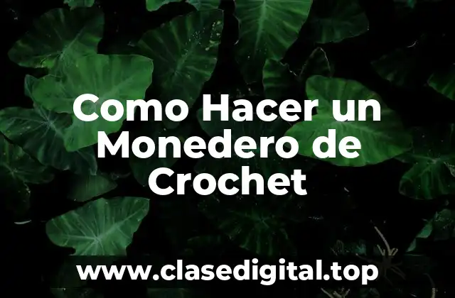 Como Hacer un Monedero de Crochet