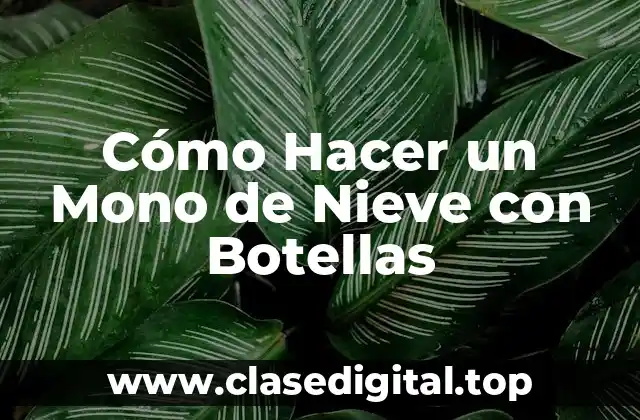 Cómo Hacer un Mono de Nieve con Botellas