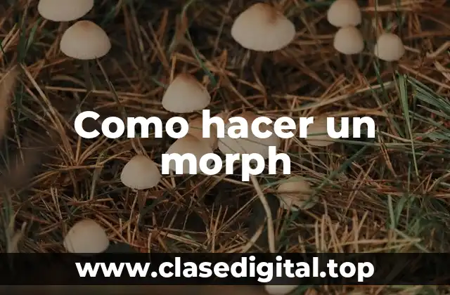 Como hacer un morph