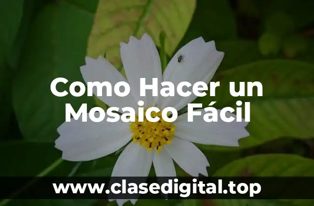 Como Hacer un Mosaico Fácil