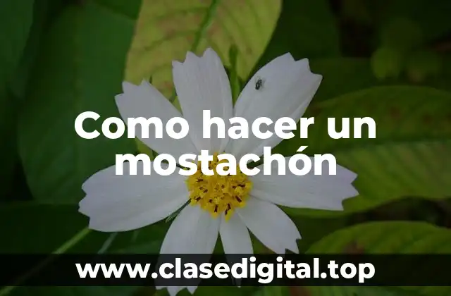 ¿Qué es un mostachón y cómo se usa?