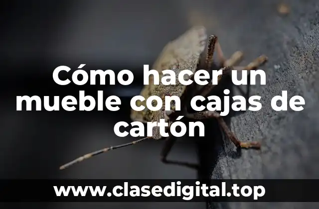 Cómo hacer un mueble con cajas de cartón