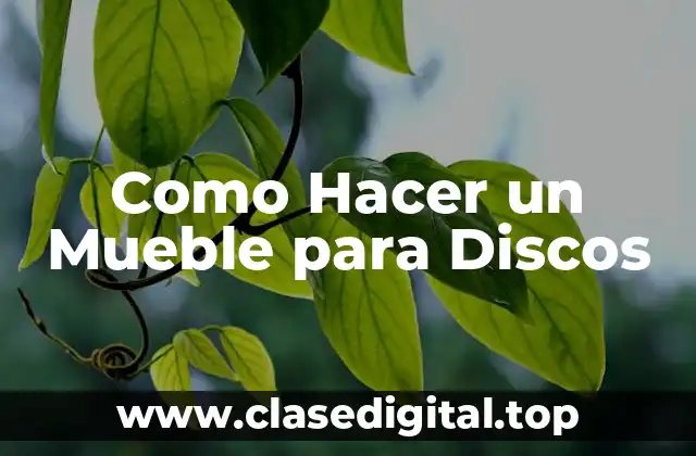 ¿Qué es un Mueble para Discos y para Qué Sirve?