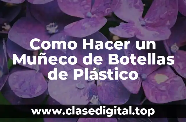 Como Hacer un Muñeco de Botellas de Plástico