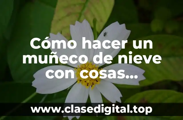 Cómo hacer un muñeco de nieve con cosas reciclables