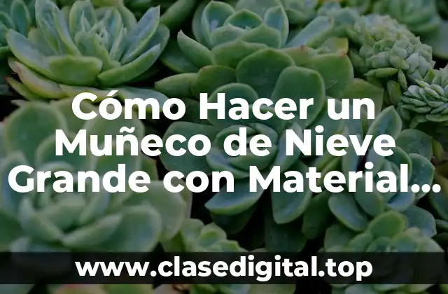 Cómo Hacer un Muñeco de Nieve Grande con Material Reciclado