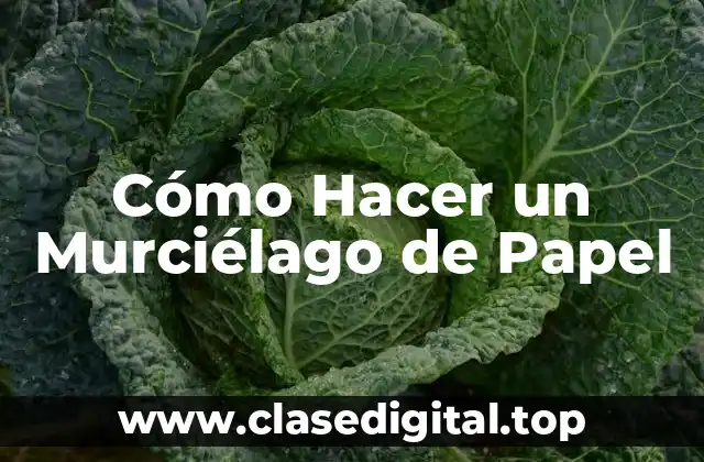 Cómo Hacer un Murciélago de Papel