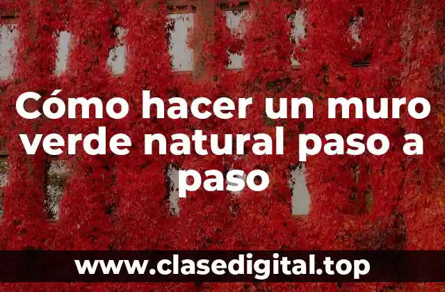 Cómo hacer un muro verde natural paso a paso