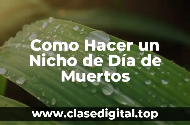 Como Hacer un Nicho de Día de Muertos