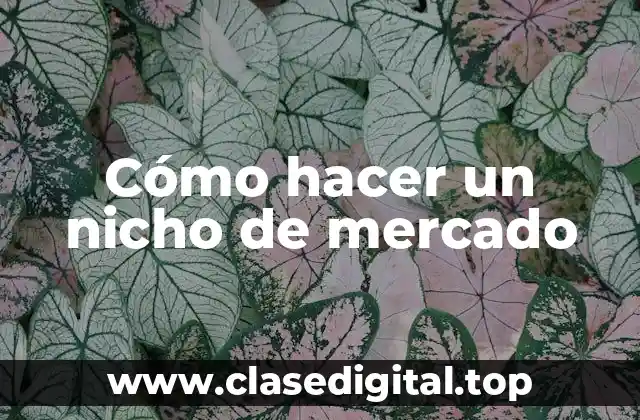Cómo hacer un nicho de mercado