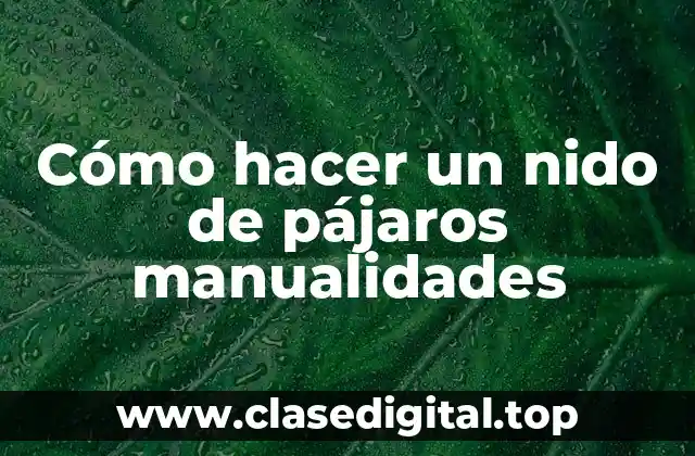 Cómo hacer un nido de pájaros manualidades