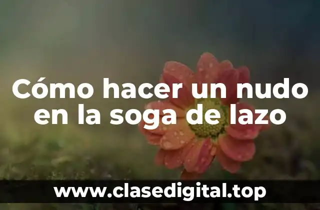 Cómo hacer un nudo en la soga de lazo