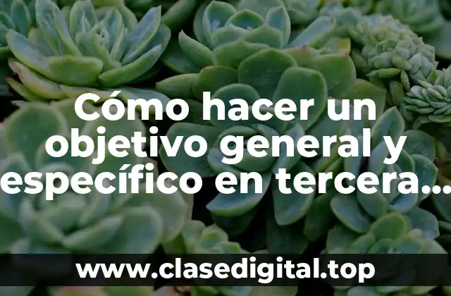 Cómo hacer un objetivo general y específico en tercera persona