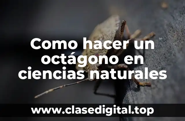 Como hacer un octágono en ciencias naturales