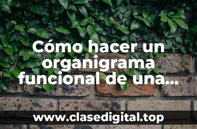 Cómo hacer un organigrama funcional de una empresa