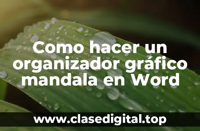 Como hacer un organizador gráfico mandala en Word