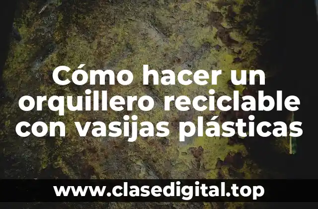 Cómo hacer un orquillero reciclable con vasijas plásticas