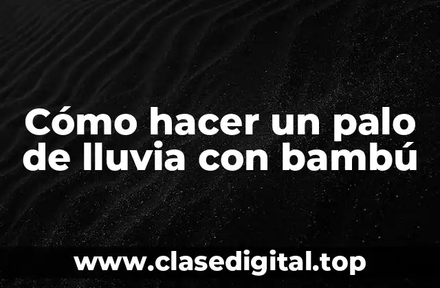 ¿Qué es un palo de lluvia con bambú?