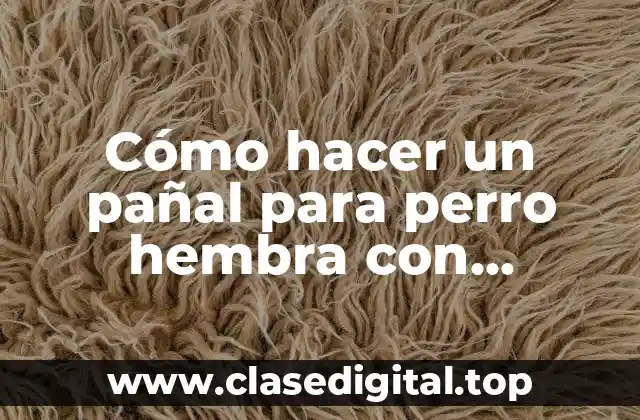 Cómo hacer un pañal para perro hembra con cubrebocas