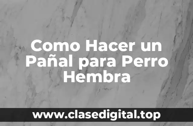 Como Hacer un Pañal para Perro Hembra