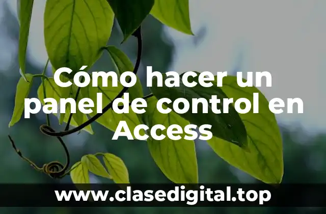 Cómo hacer un panel de control en Access