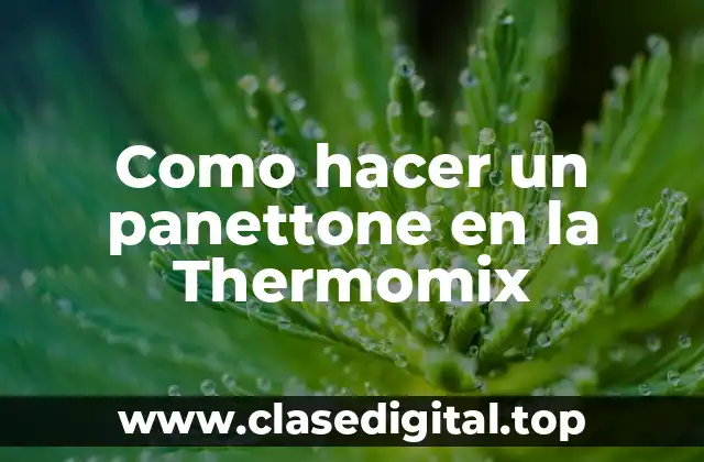 Como hacer un panettone en la Thermomix