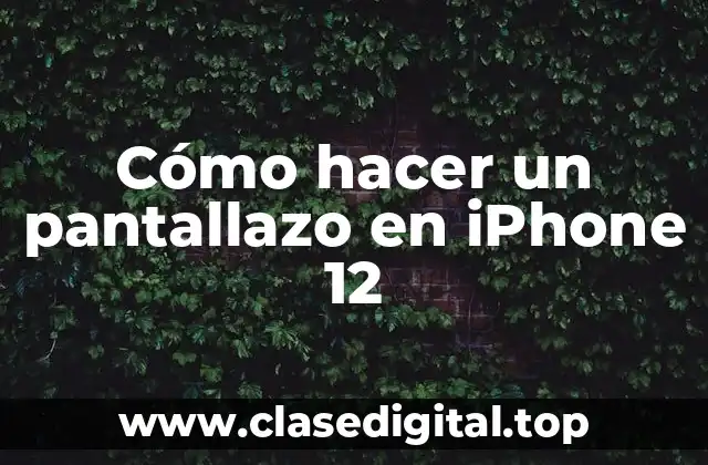 ¿Qué es un pantallazo y para qué sirve?