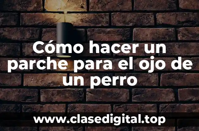 Cómo hacer un parche para el ojo de un perro