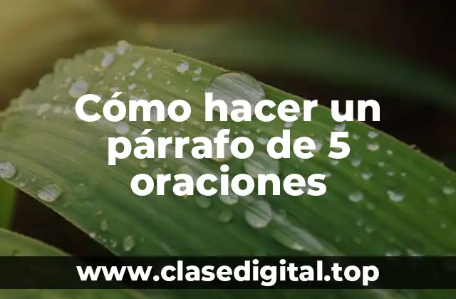 Cómo hacer un párrafo de 5 oraciones